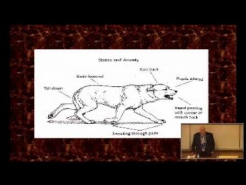 Stanley Coren – Animal Communication: How to Speak Dog
