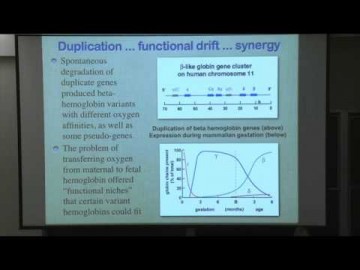 Terrence Deacon – Language and complexity: Evolution inside out